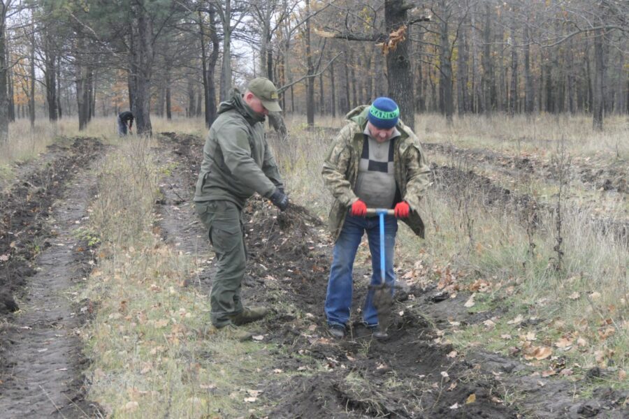 Озеленюємо Криворіжжя: на півночі міста минулими вихідними з’явився новий дубовий масив