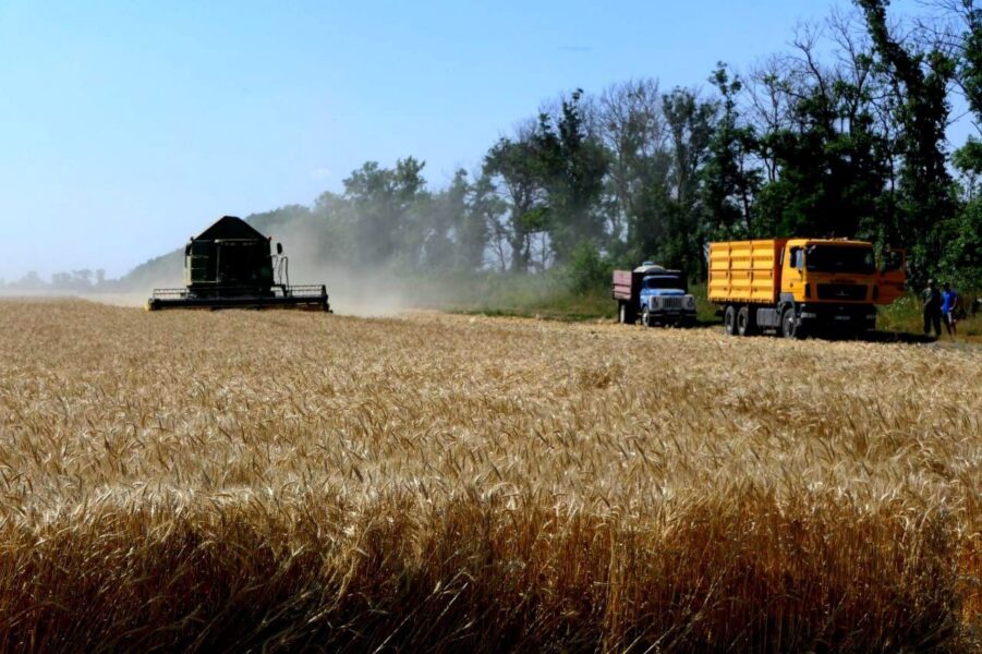 Жнива на Криворіжжі: аграрії вже зібрали зернові та зернобобові